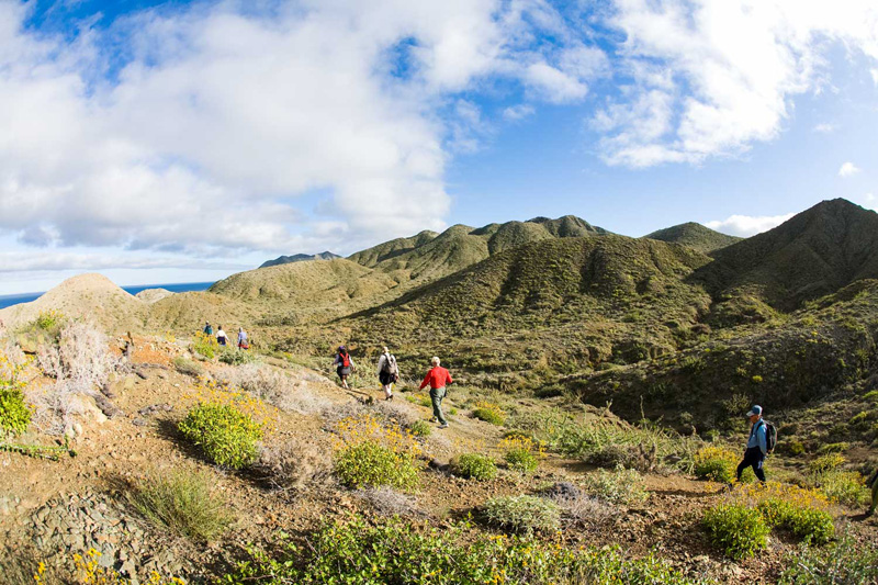 9 Reasons to Go to Baja Right Now