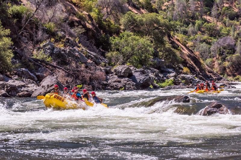 Two yellow rafts float downstream on the Tuolumne River near Yosemite