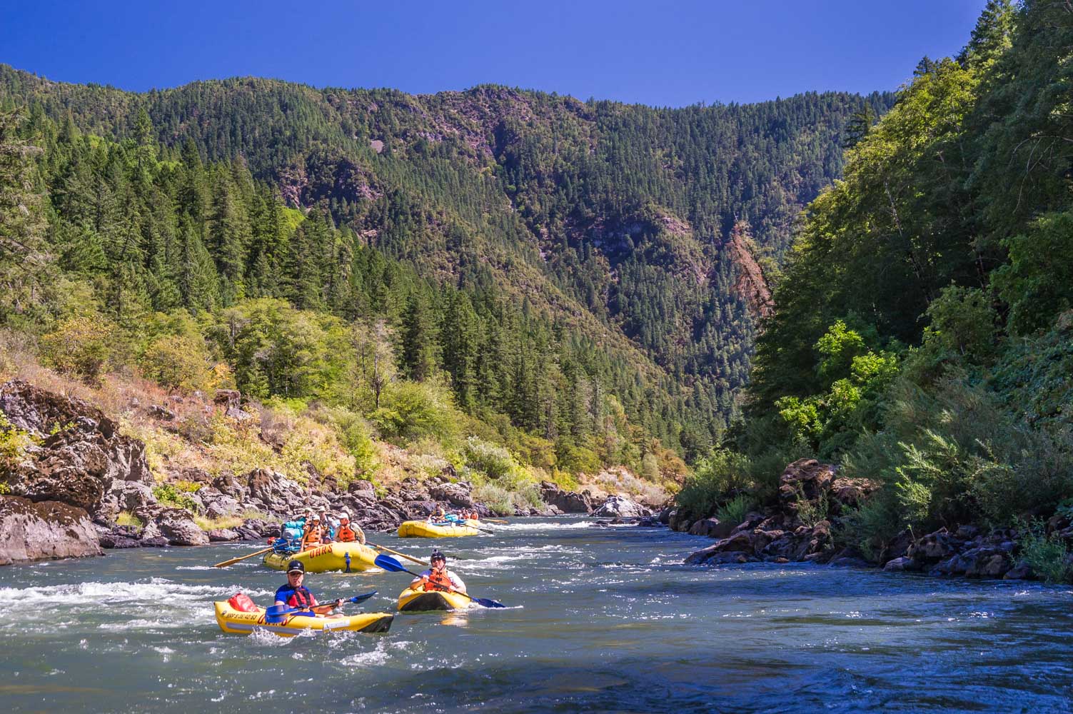 The Quick Guide to Oregon Rafting Trips | Rogue River 