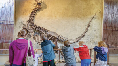 What Puts the "Dino" in Dinosaur National Monument