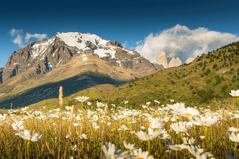 Torres del Paine W Trek