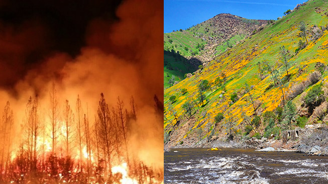 Did the Rim Fire Ruin the Tuolumne River?