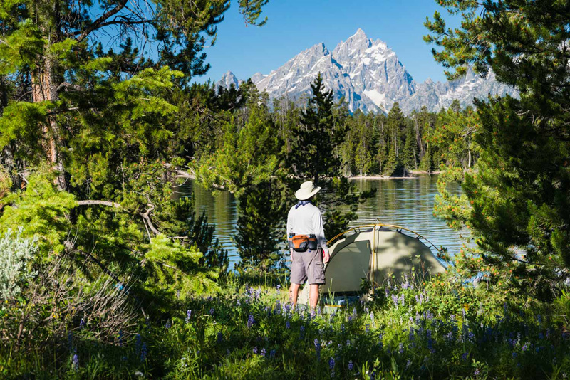 The Best Yellowstone and Grand Teton Books