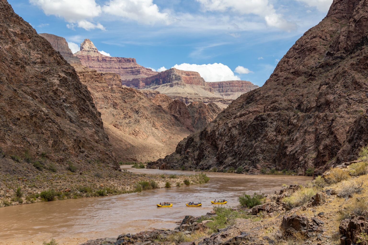 Three yellow OARS rafts navigate the muddy waters of the Colorado River at the heart of Grand Canyon