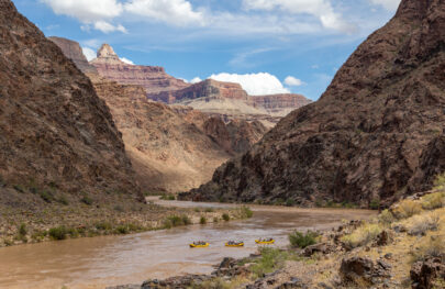 Three yellow OARS rafts navigate the muddy waters of the Colorado River at the heart of Grand Canyon