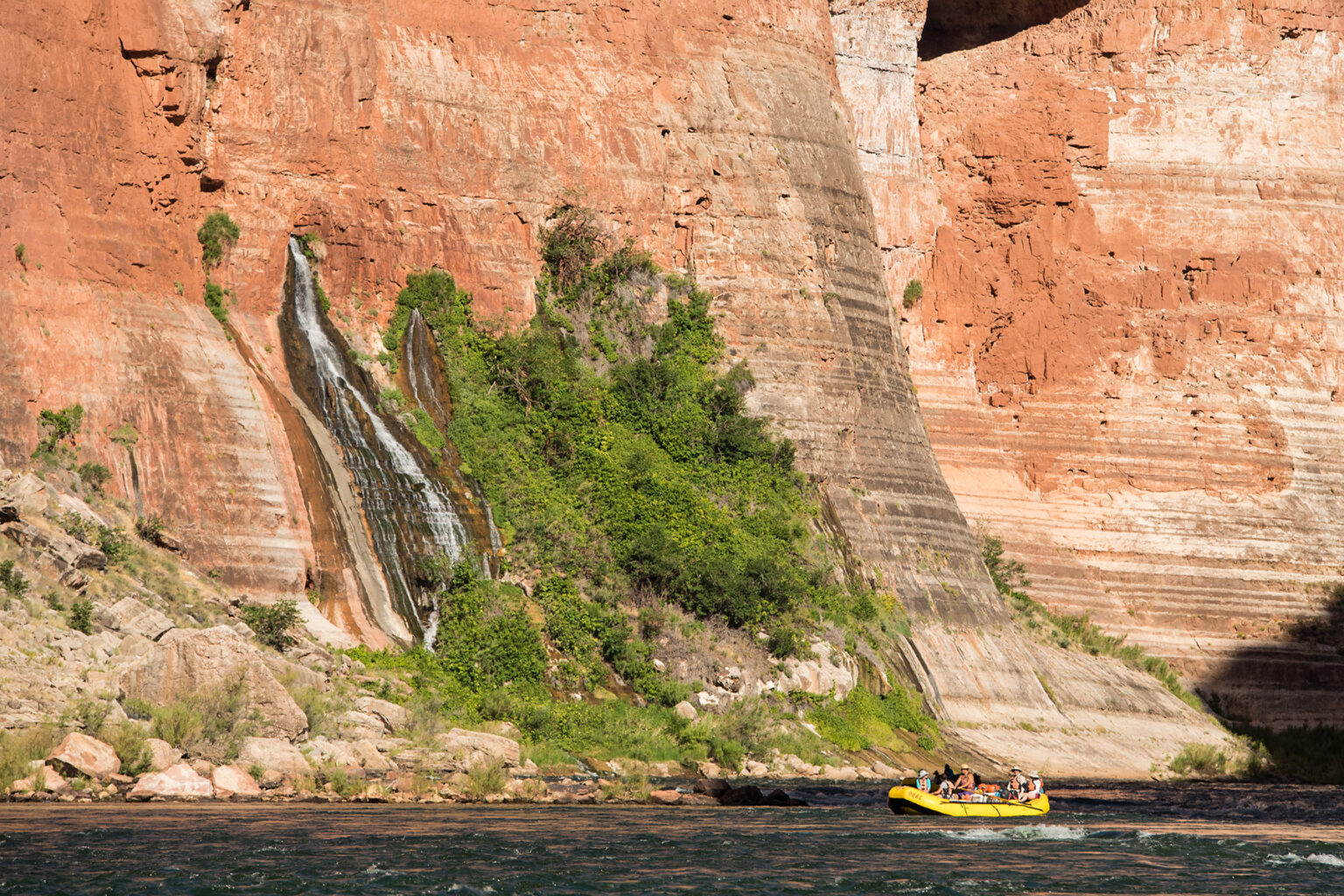 Vasey's Paradise with OARS raft in Grand Canyon