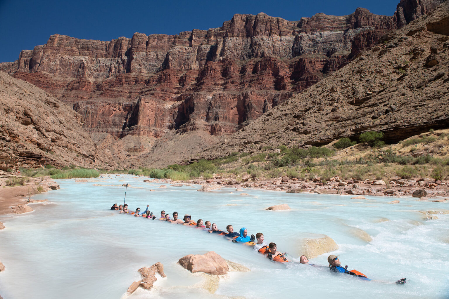 21 guides and guests link arms and legs together to form a chain and float down the azure waters of the Little Colorado River in Grand Canyon
