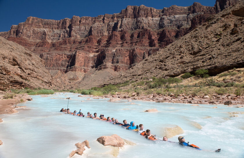 21 guides and guests link arms and legs together to form a chain and float down the azure waters of the Little Colorado River in Grand Canyon