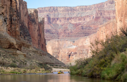 OARS raft floats between tamarisk-covered banks of the Colorado River deep in Grand Canyon