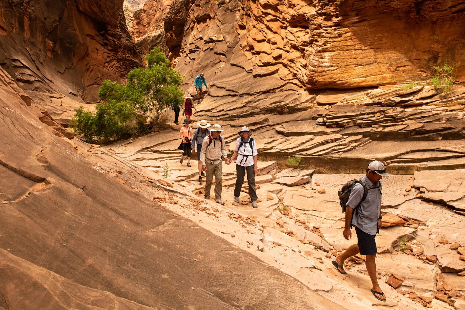 OARS guide leads guests on a side hike along the bottom of a weathered side canyon in Grand Canyon National Park