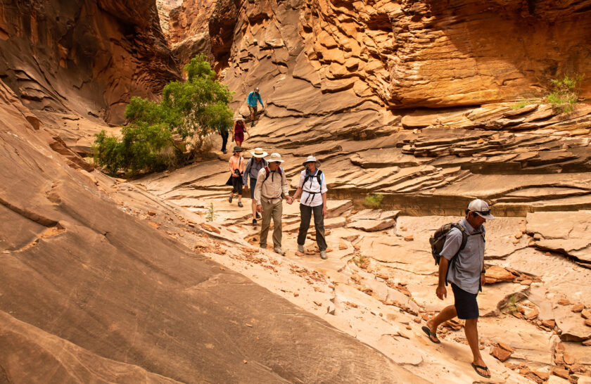 OARS guide leads guests on a side hike along the bottom of a weathered side canyon in Grand Canyon National Park