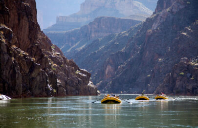Three OARS yellow rafts row towards camera in calm water in Grand Canyon