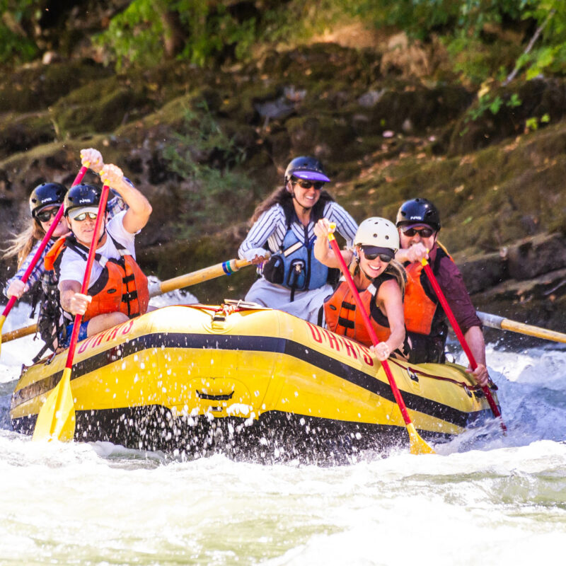 Group of adults enjoying rafting through whitewater rapids.