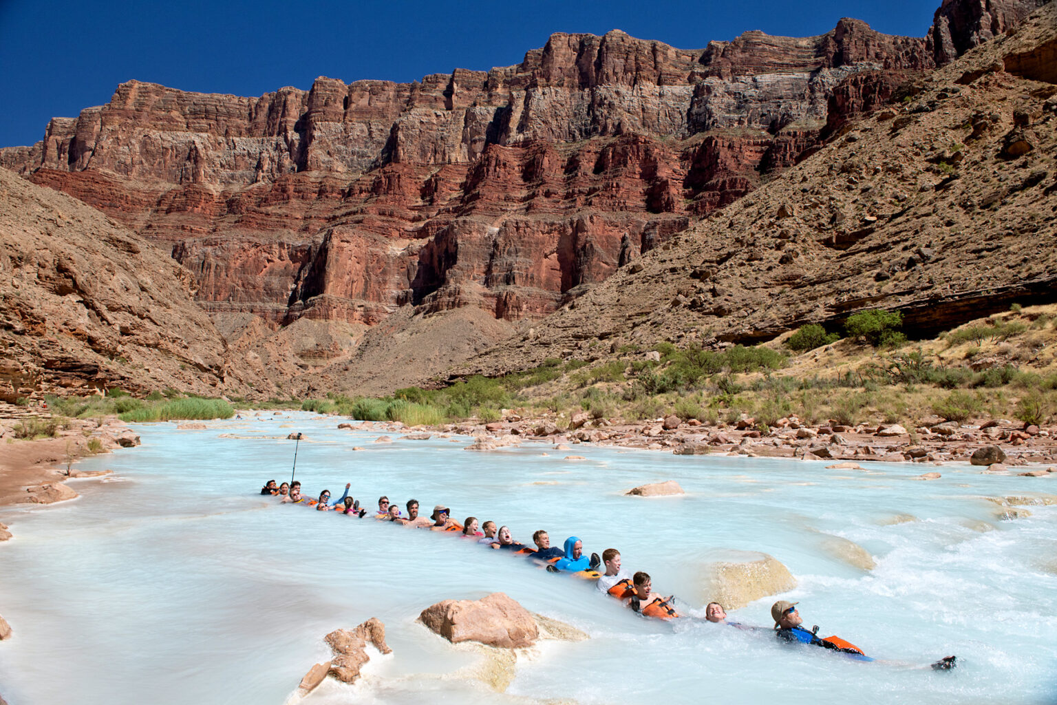 21 guides and guests link arms and legs together to form a chain and float down the azure waters of the Little Colorado River in Grand Canyon