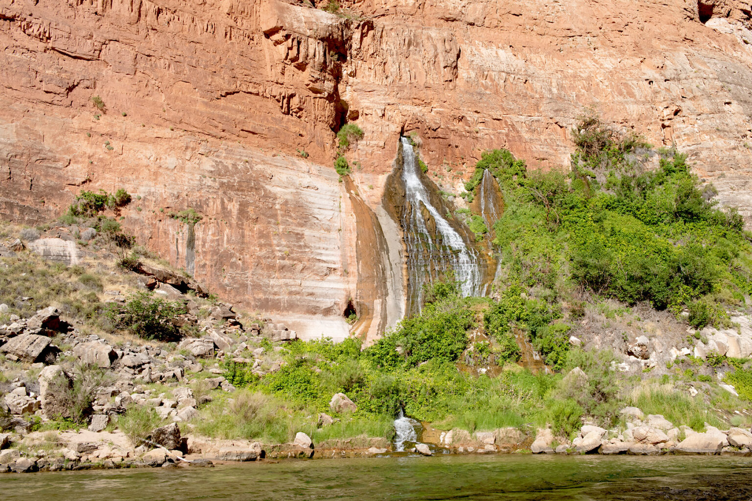 Spring water flows from the canyon wall at Vasey's Paradise in Grand Canyon