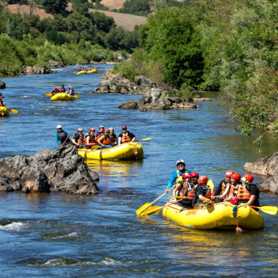 Several yellow rafts full of paddlers spread out on the South Fork of the American River in California