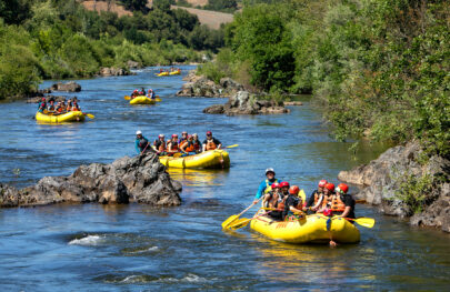 Several yellow rafts full of paddlers spread out on the South Fork of the American River in California