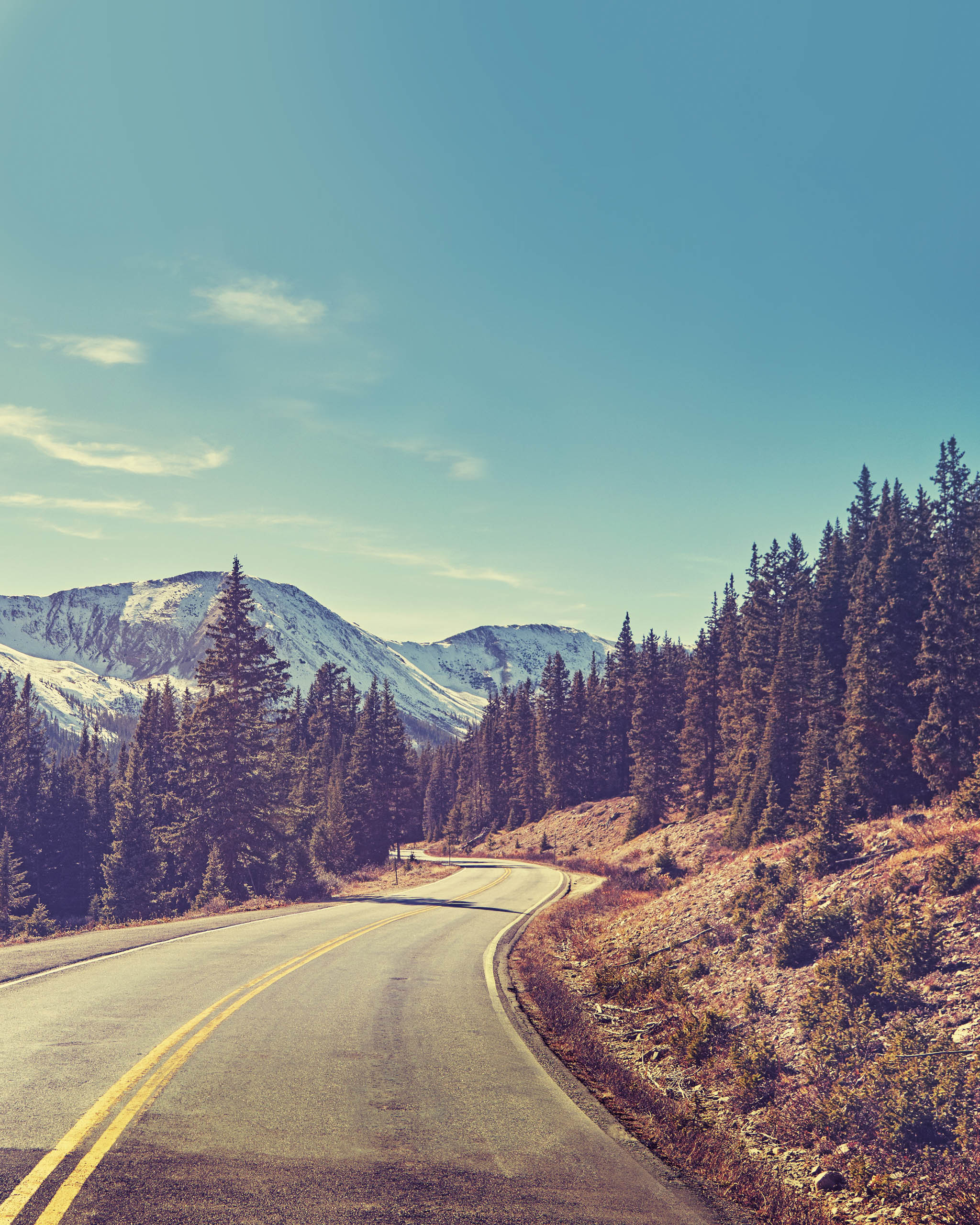 Road Trip Shenanigans: Hilarious Tales from the Open Road