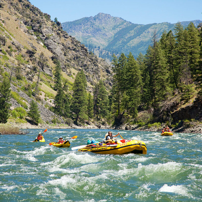 People rafting down a Class II river.
