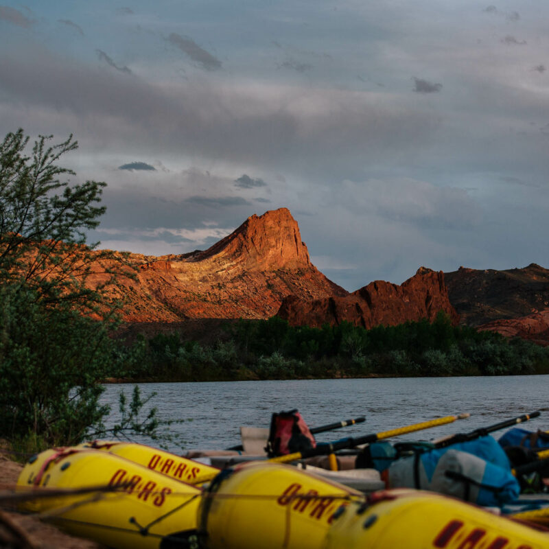 OARS rafts on the San Juan river bank.