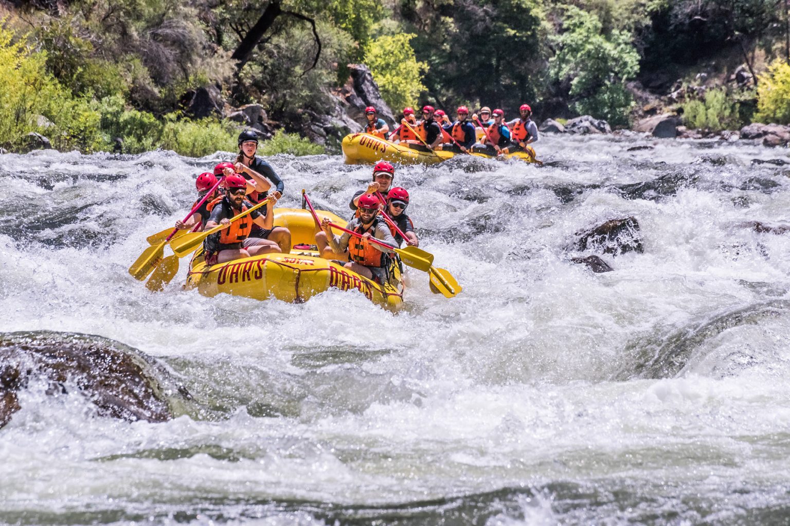 Whitewater on the Tuolumne River