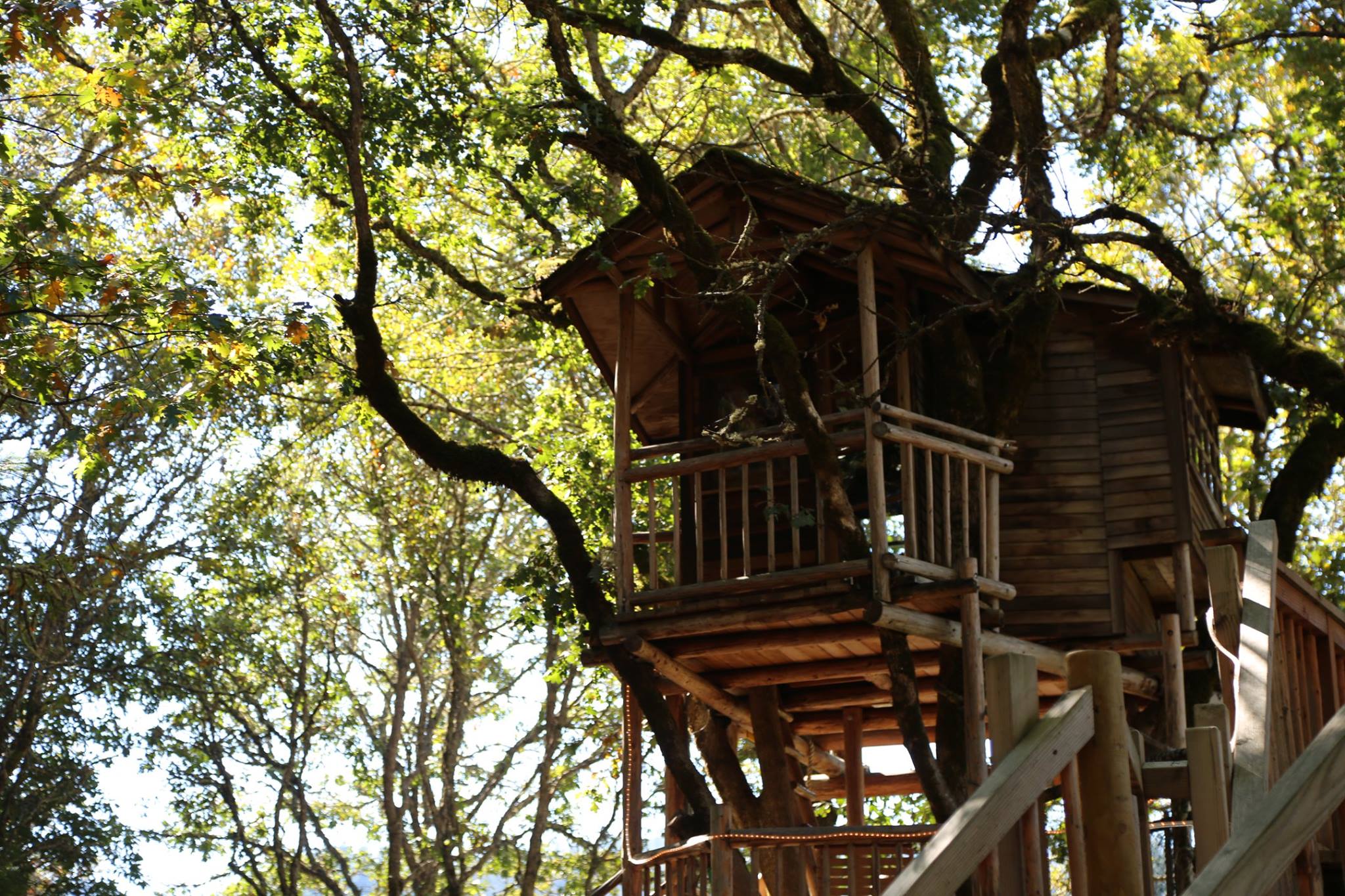 25 Unplugged Family Vacation Ideas | Out' N' About Treehouse Resort
