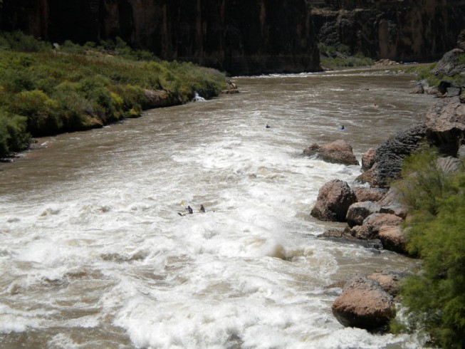 Doubly Ducky in the Grand Canyon