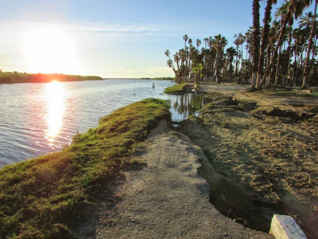 Baja Mexico Whale Watching & Sea Kayaking Vacation