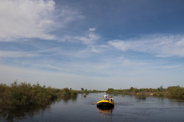 Rafting the Colorado River "Pulse Flow"