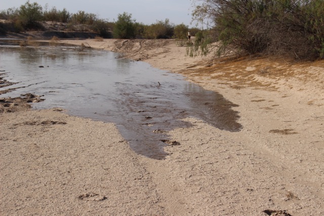 Historic Colorado River "pulse flow"