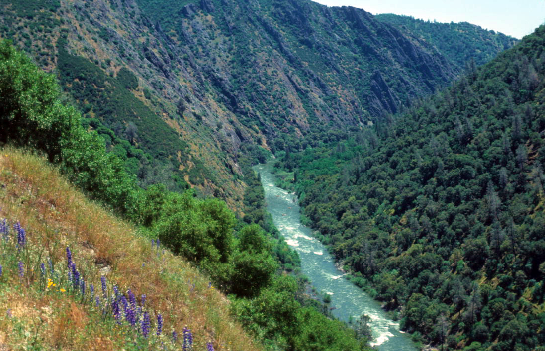 A Game-changer for River Protection: The Loss of the Stanislaus