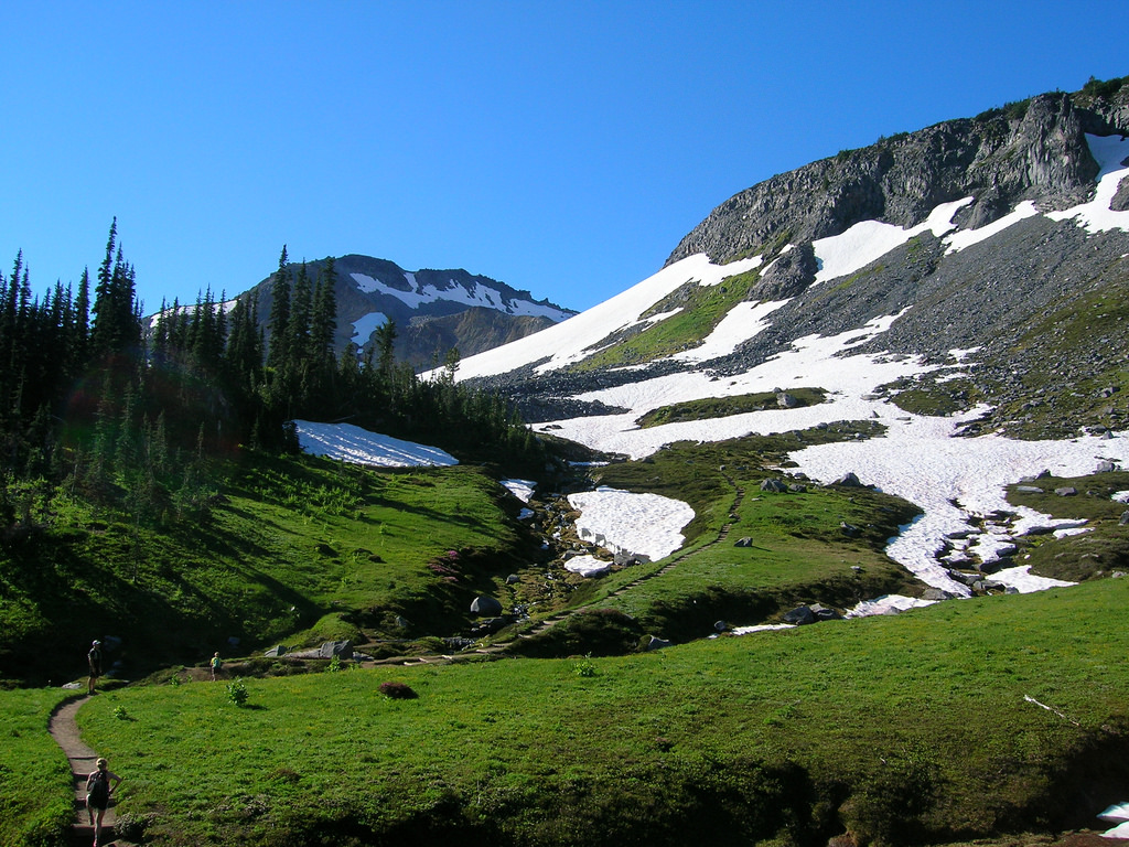 9 National Park Views That are Worth the Effort | Mt. Rainier, Rainier National Park