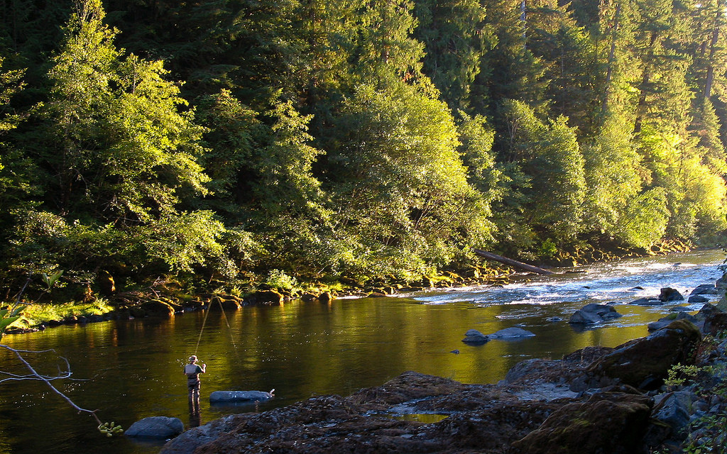 Best River Trails in Oregon | North Umpqua River Trail | Photo: BLM Oregon/Flickr