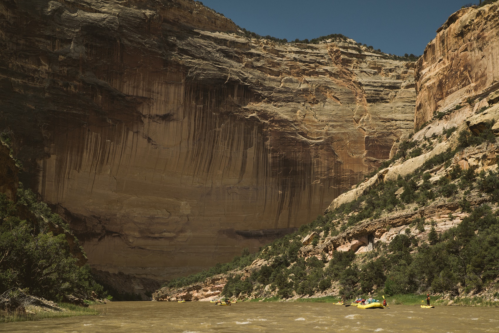 Yampa River Rafting | Photo Logan Bockrath