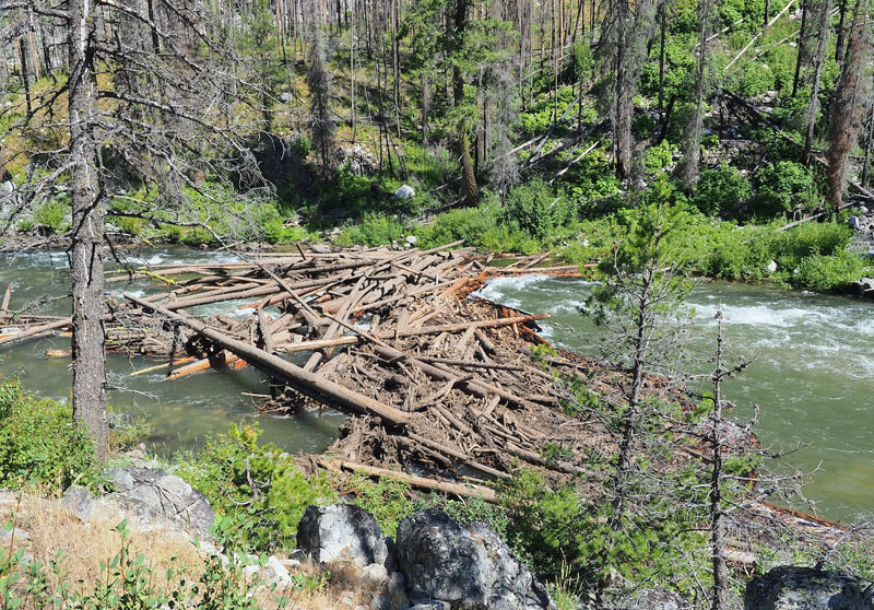 Debris flow blocking the Middle Fork of the Salmon River - August 2022