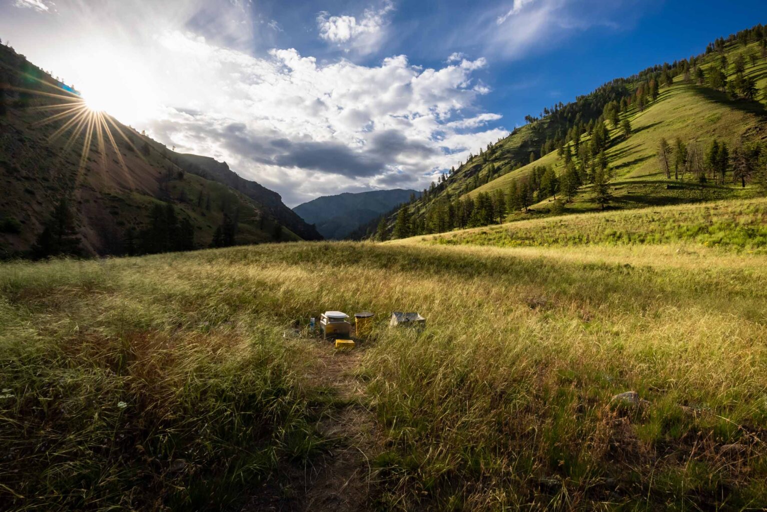 Portable toilet system for river trips sitting in a field outside.