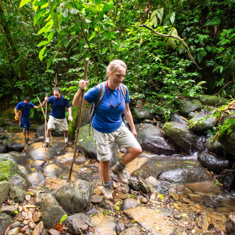 woman leading two men on a hike through a stream in a forest.