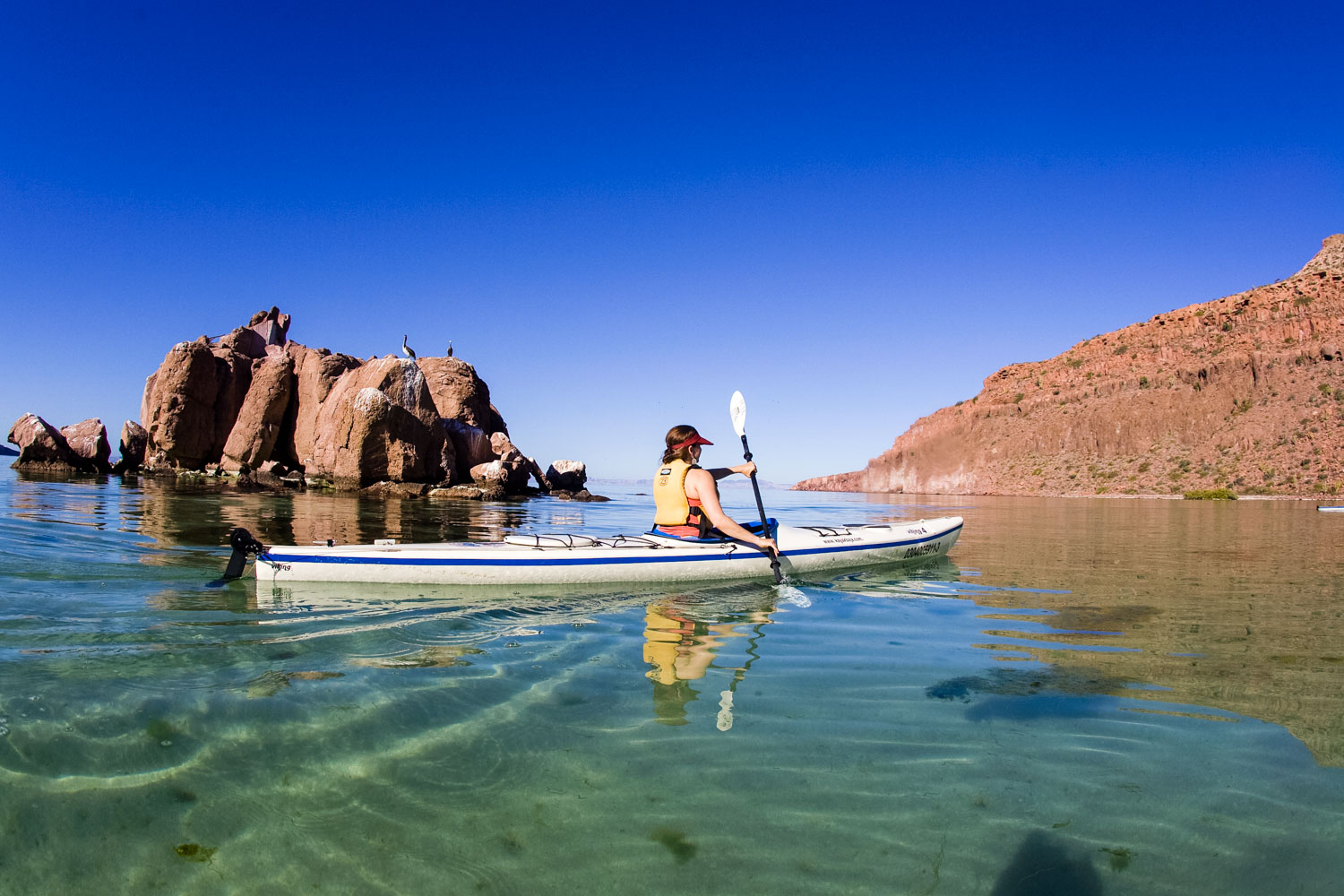 Baja kayaking, Espiritu Santo