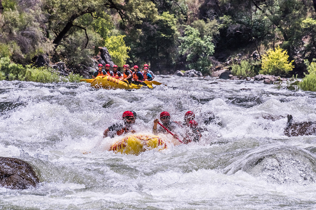 Two rafts full of people taking on the rapids of the Tuolumne River in California