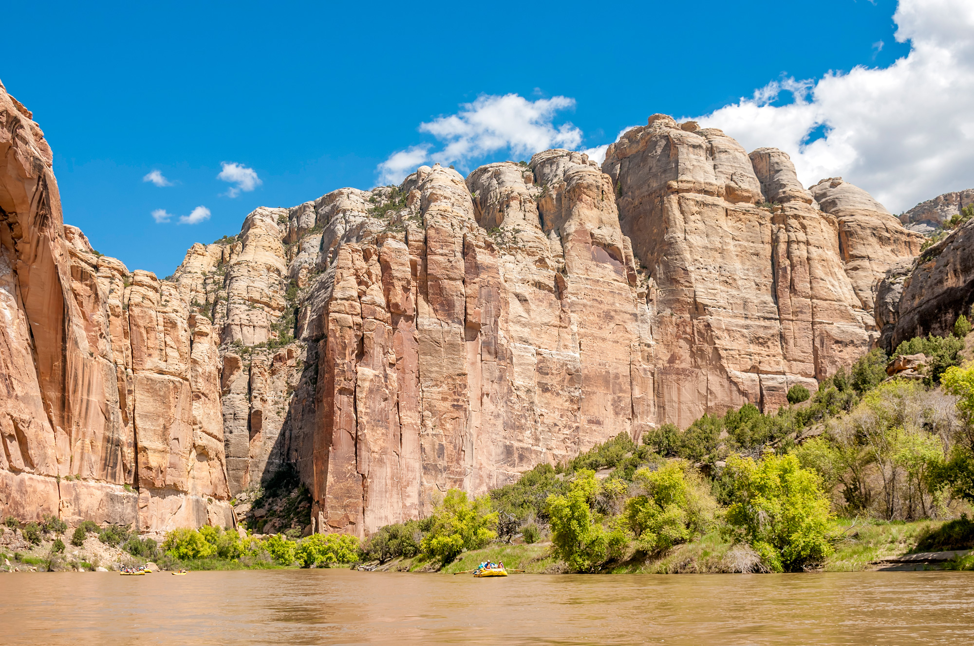 Yampa River Rafting