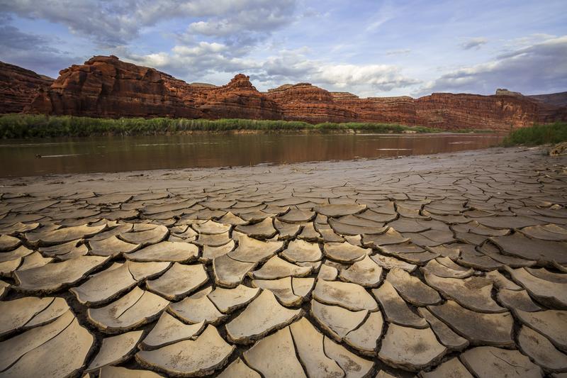 Shoreline of the Colorado River in Cataract Canyon