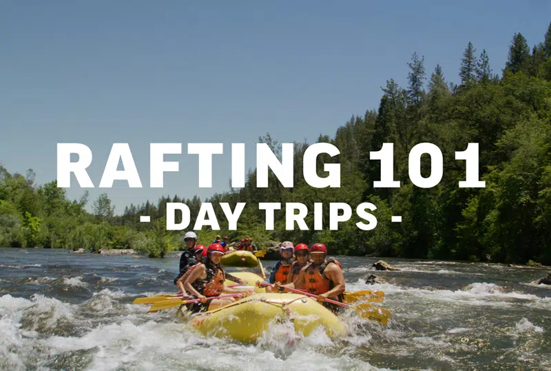 What to Expect on a 1-Day Rafting Trip with OARS.