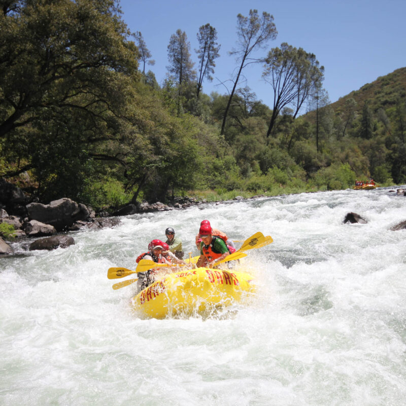 Whitewater rafting the Tuolumne river.