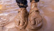 Muddy feet near the Colorado River in Grand Canyon