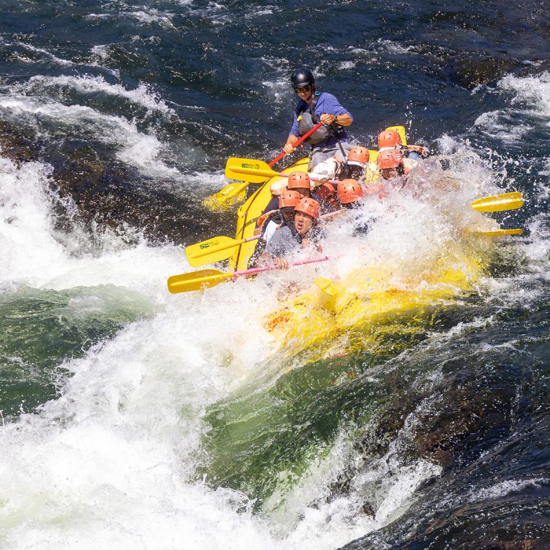 Class III rafting on the South Fork of the American River