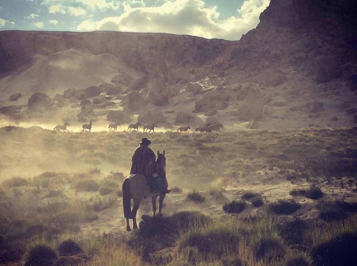 Patagonian guacho on horseback
