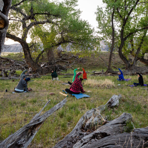 A group of adults do yoga in a clearing surrounded by trees on an OARS Yampa River Mindfulness trip.