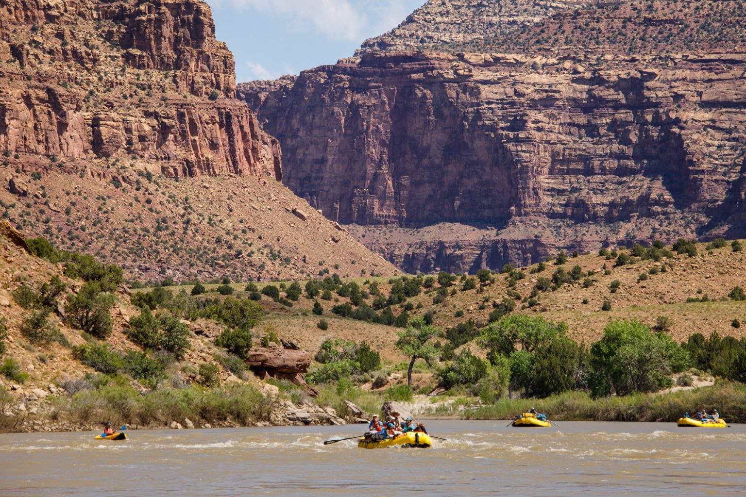 OARS rafts floating on the Green River through Desolation Canyon.