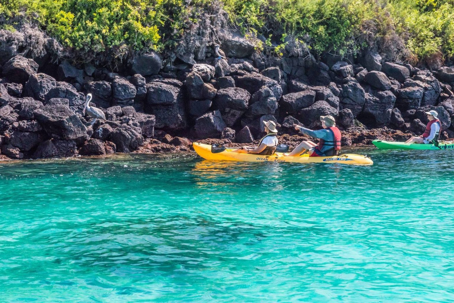 Visitors kayak the aquamarine waters of the Galapagos 