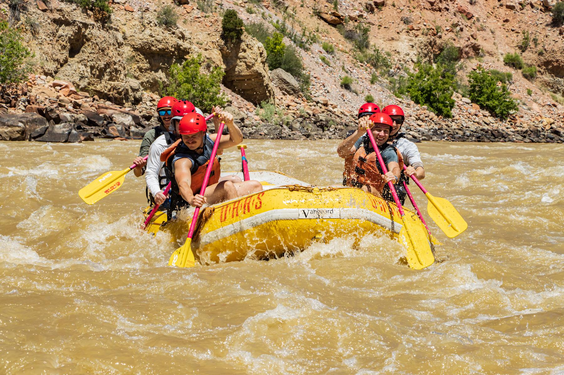 A group of rafters paddling in Split Mountain Canyon